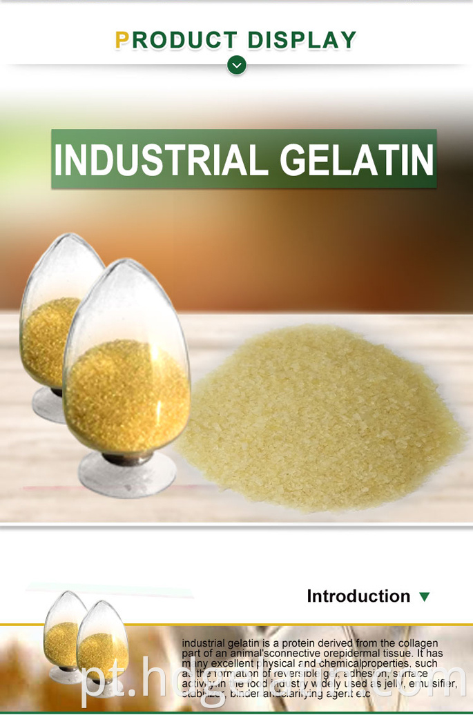 Gelatina industrial em pó de animais de cola de óssea de carne óssea gelatina para partida